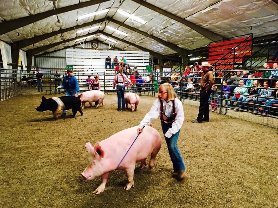 Teton County 4-H Fair : Event Image